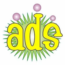 Logo Adisa Catering and Wedding Packages