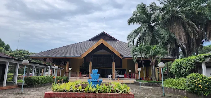 Aula Sarbini Wiladatika - Foto 4