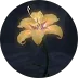 Logo D'Decoration