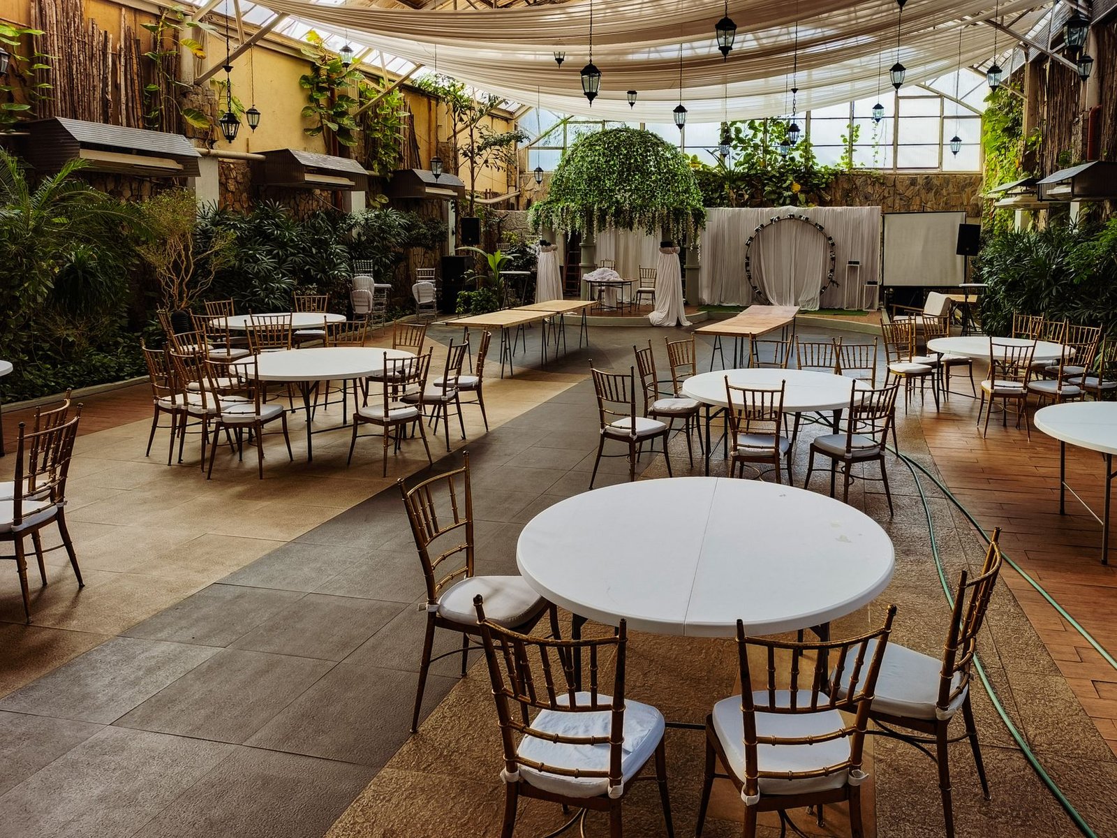 An empty wedding venue setup with round tables and chairs indoors, surrounded by plants.