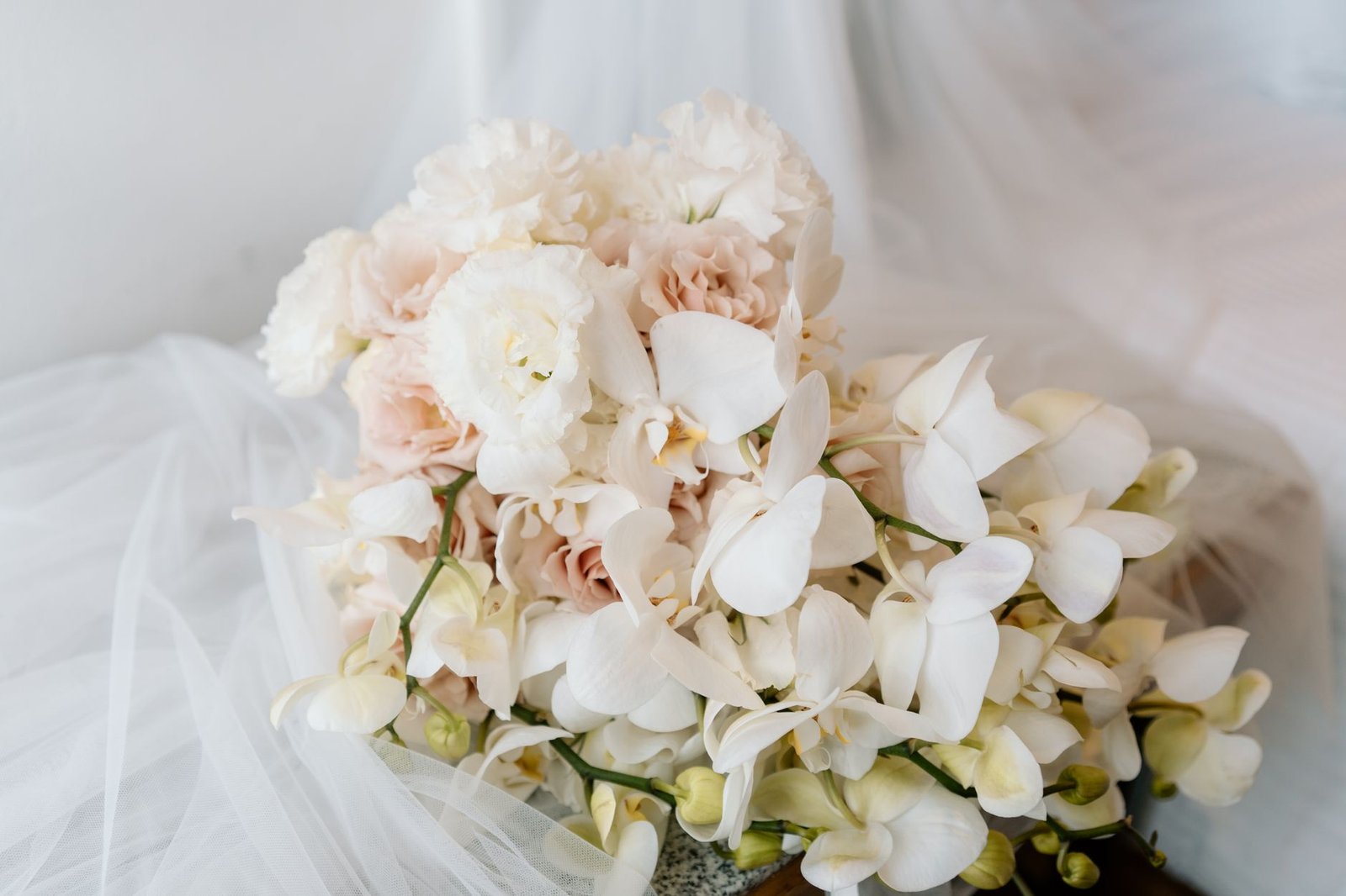 Foto stok gratis aksesoris pengantin, anggrek, anggun