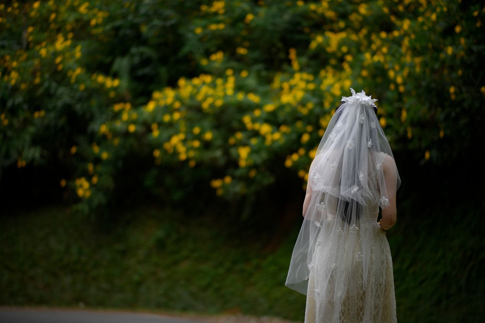 Pengantin perempuan dalam gaun pengantin berdiri di tengah bunga kuning cerah menciptakan suasana yang tenang.